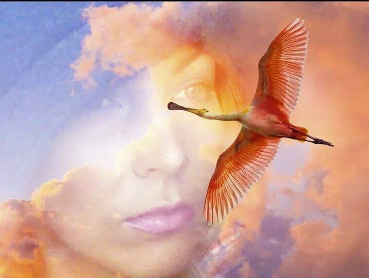 Фото из Яндекса