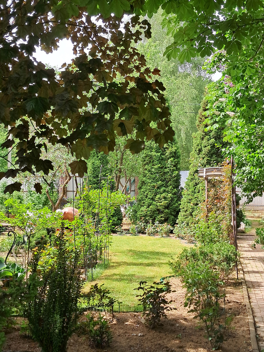 Уголок сада