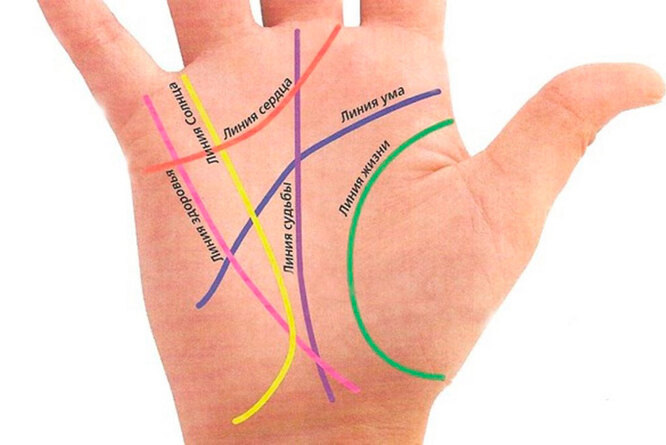 Зеленая линия - линия жизни