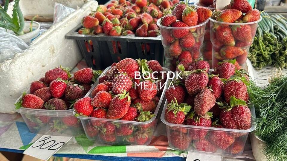     Источник: vostokmedia.com