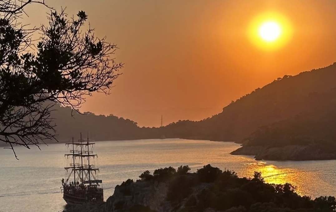 "Привычка жить с камнем в туфле"-Метафора Петрушки Кларксон, английского психолога