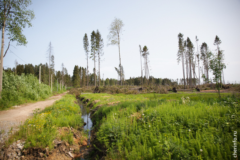    Такое совместное решение принято мэрией с участниками встречи, которая прошла в Пуловском лесу.