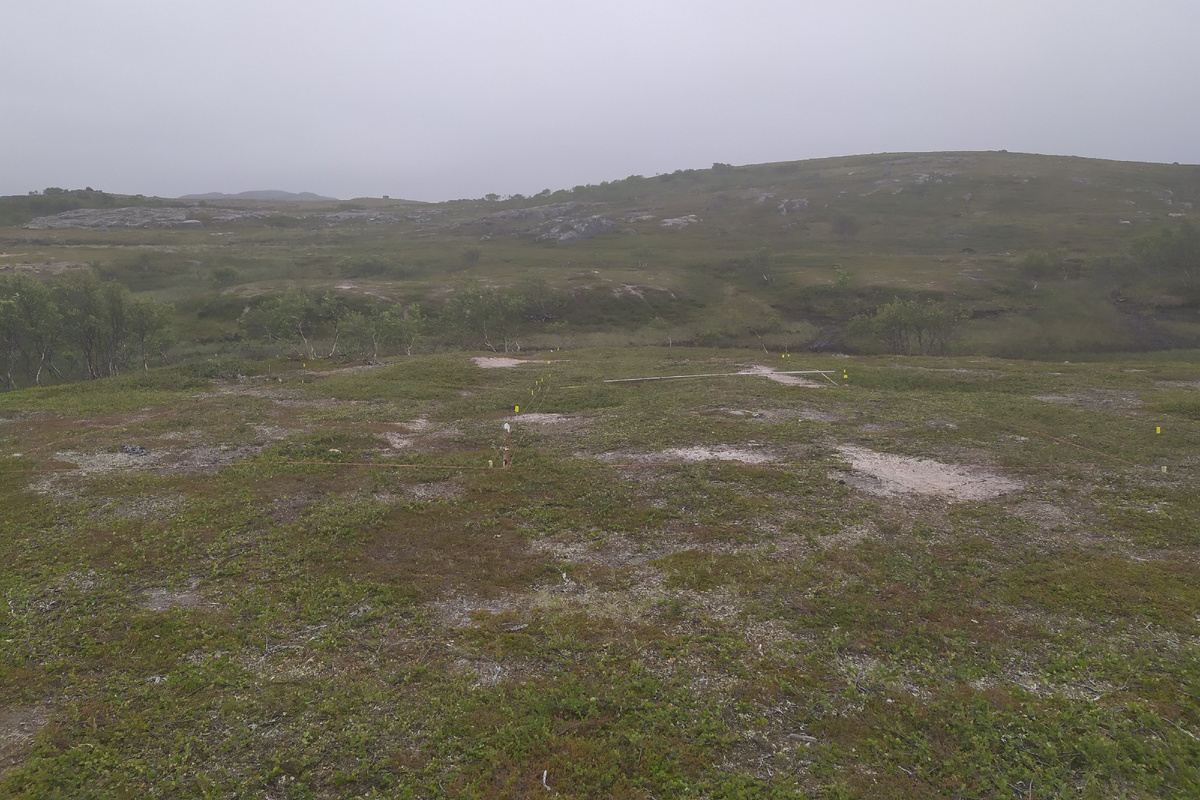 Поселение Кумжа-8 до начала работ