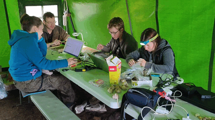 В камералке