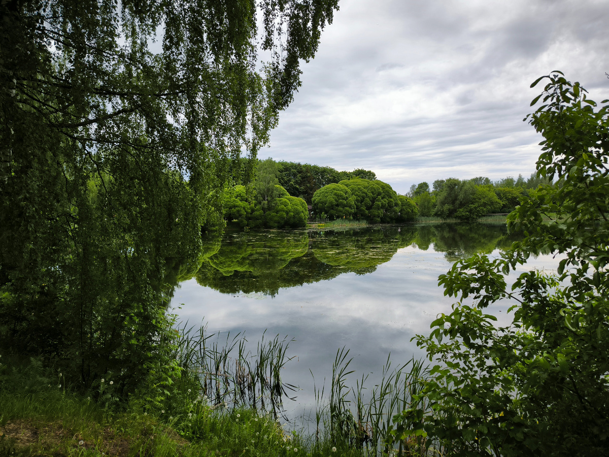 Верхний пруд 