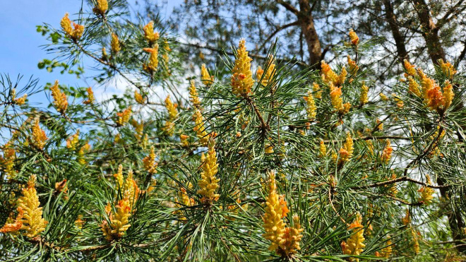 Фото: Александр Дрозденко/telegram