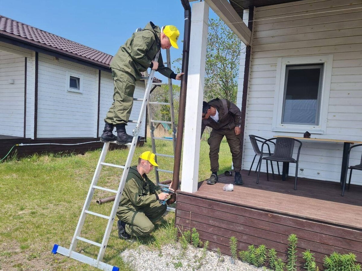     Источник: @amurtigercenter