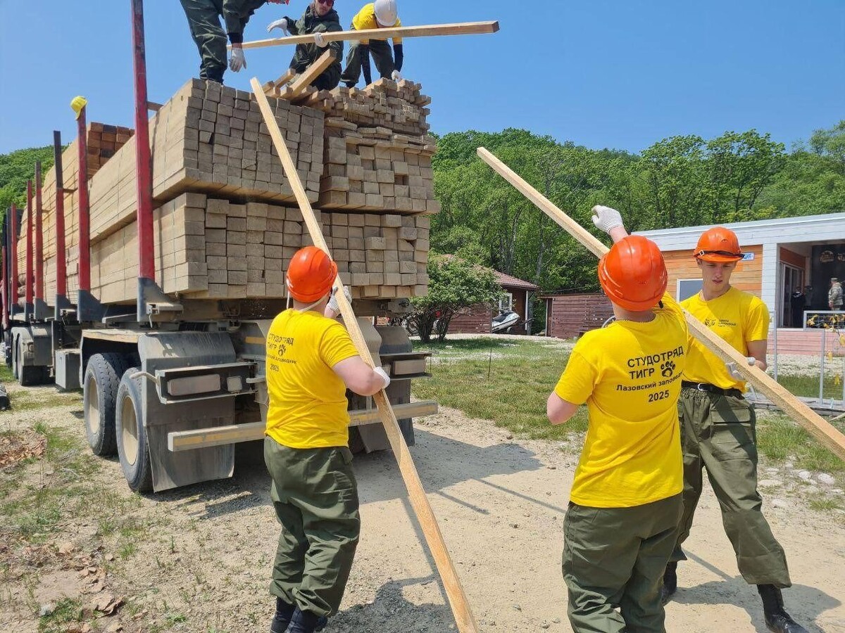     Источник: @amurtigercenter