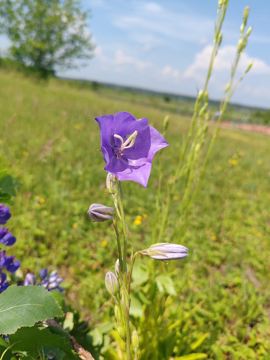 Фото автора канала. 