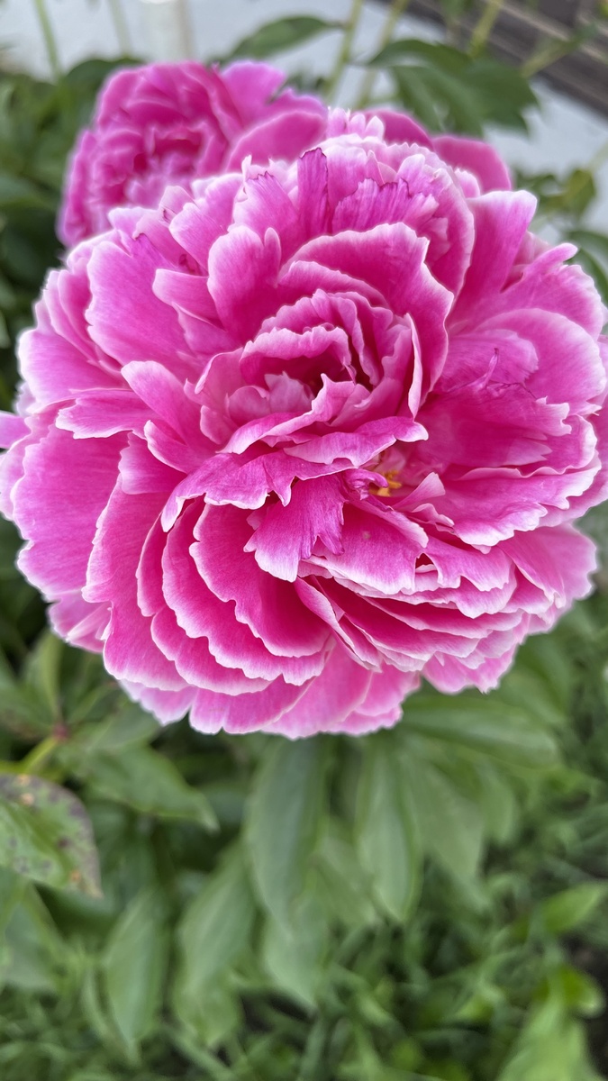 Вот такая красота!