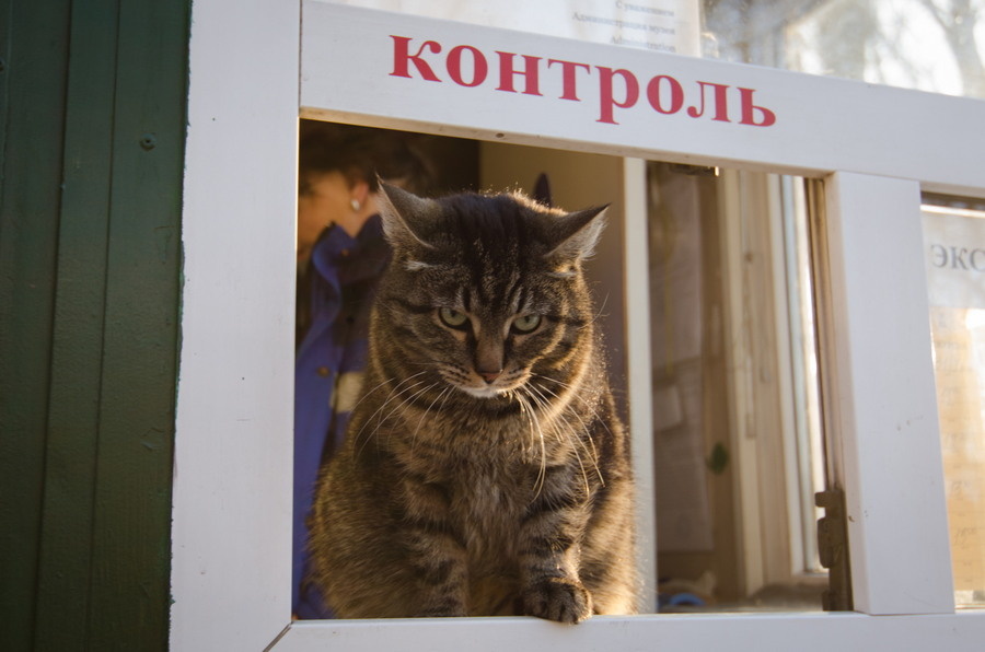 источник Яндекс-картинки