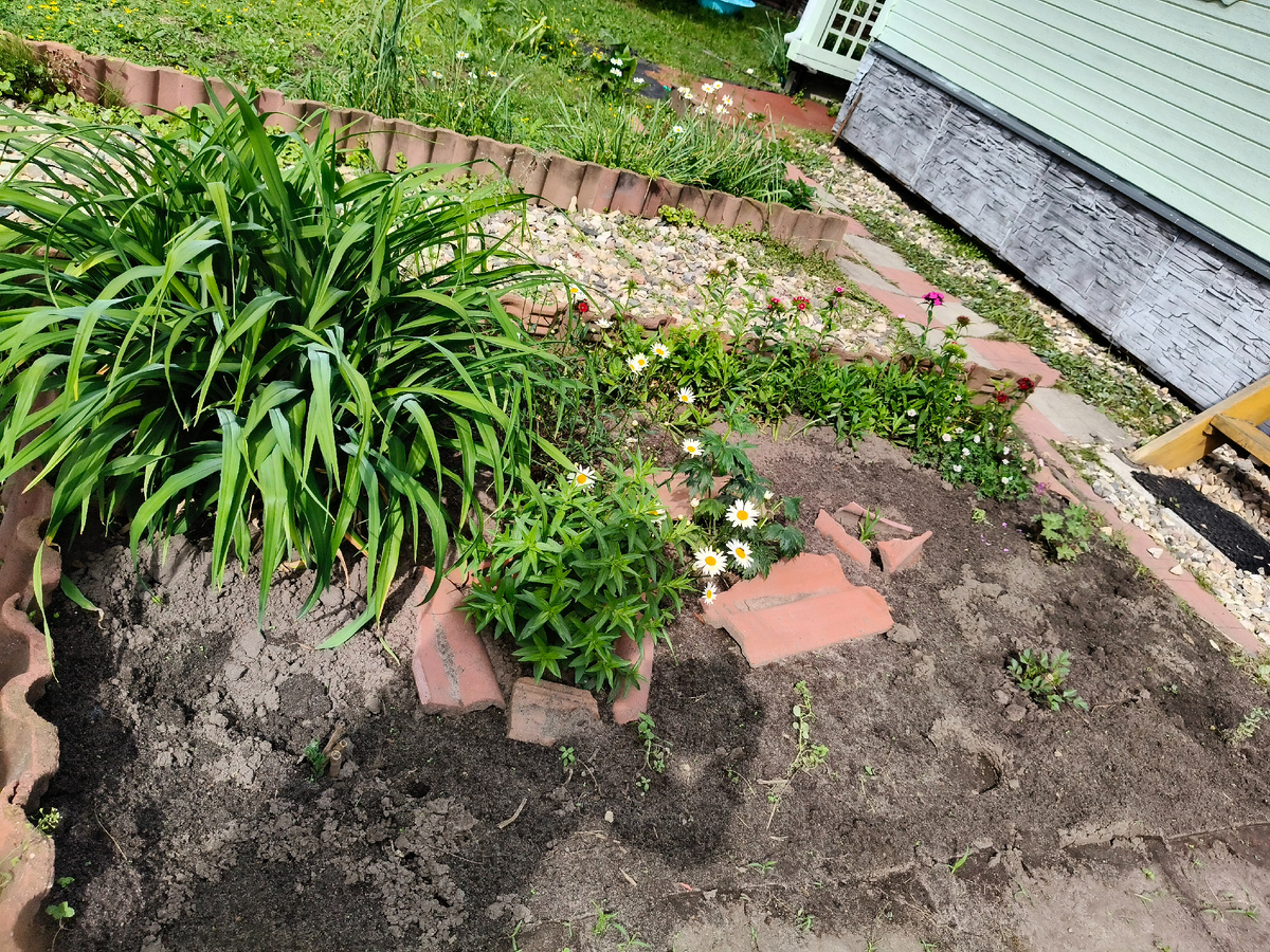 Здесь рос только лилейник, ряд нарциссов, где сейчас зацветают гвоздики и герань, так же приткнутая, чтобы прижилась. В этом году добавилось ингридиентов в салат. 