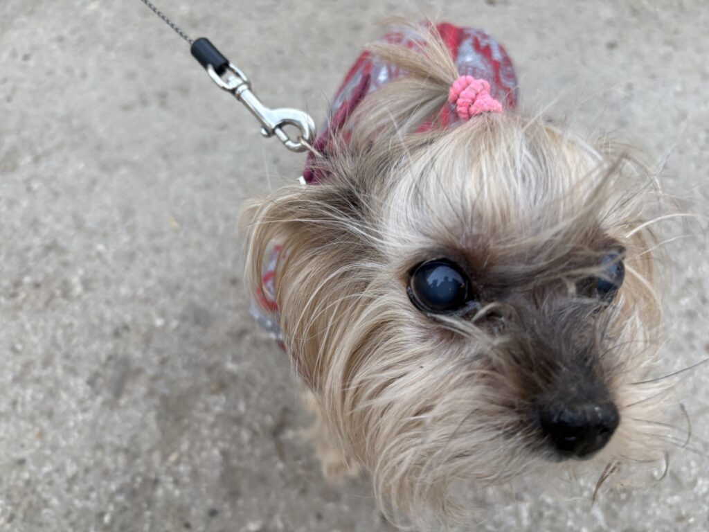    Фото: В курсе.ру Екатерина Устькачкинцева