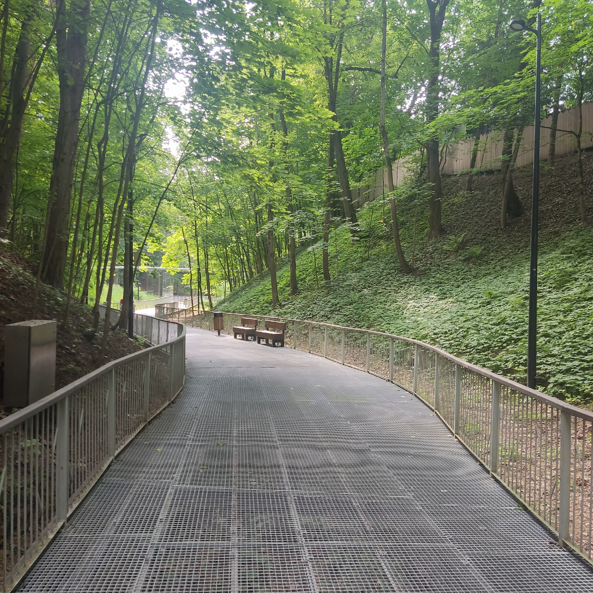 Прогулка по Малиновому оврагу