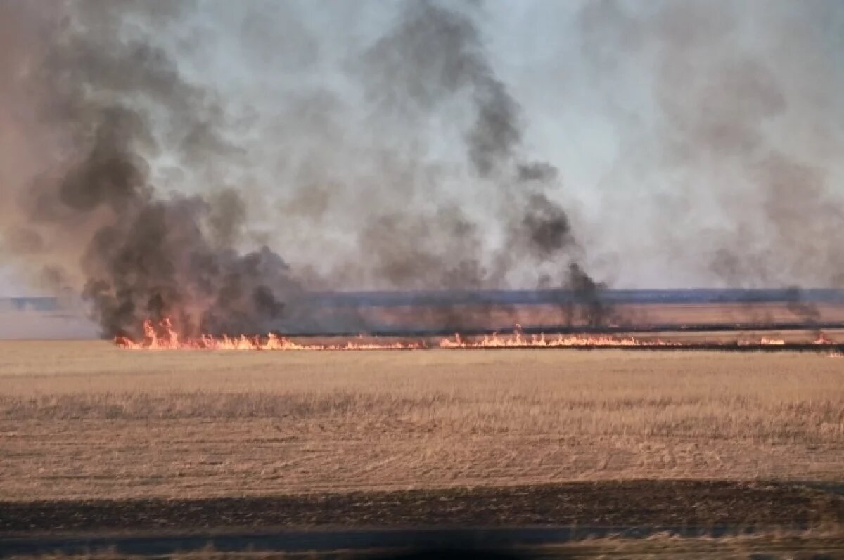    В Ростовской области объявлен высокий уровень пожарной опасности