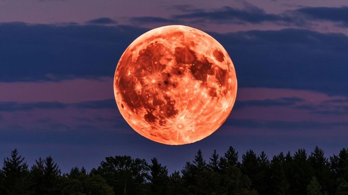11 июня жители Москвы и Подмосковья смогут увидеть «Клубничную Луну». Источник: 1MI