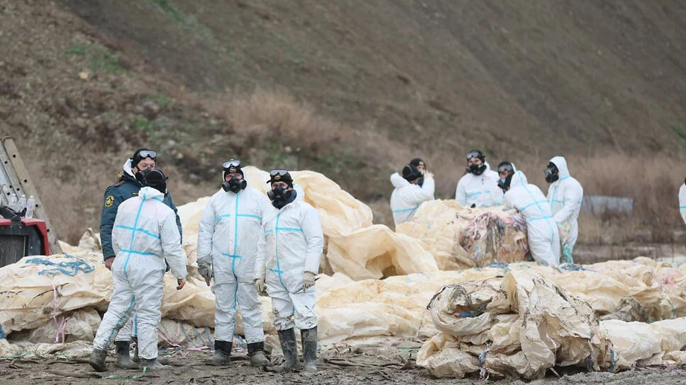 Фото: Администрация Краснодарского края