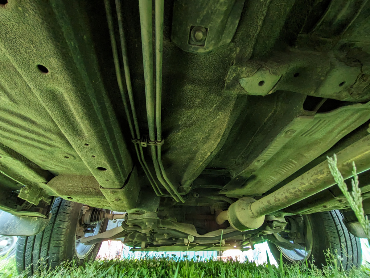 Зеленый - рефлекс от травы, у камеры безнадежно сбился баланс белого :)