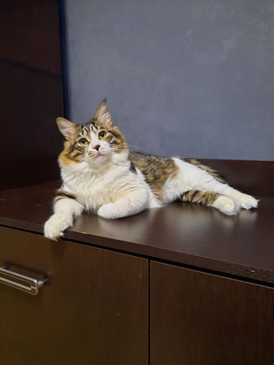 Когда лежишь