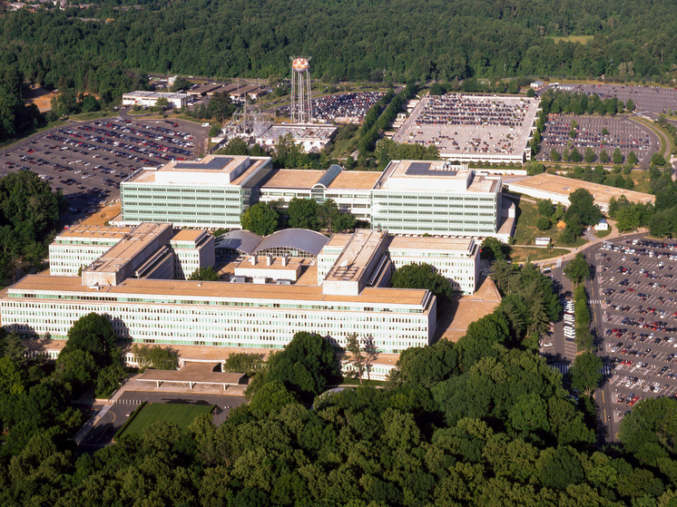 Фото: ruwikipedia
