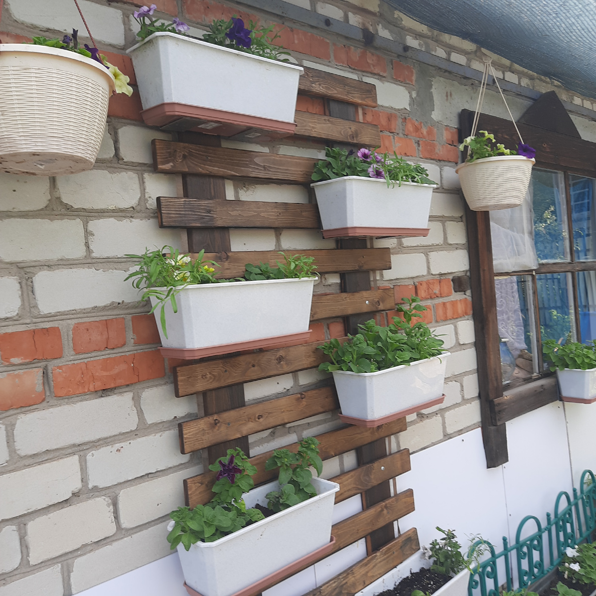 Проект петуньевая стена