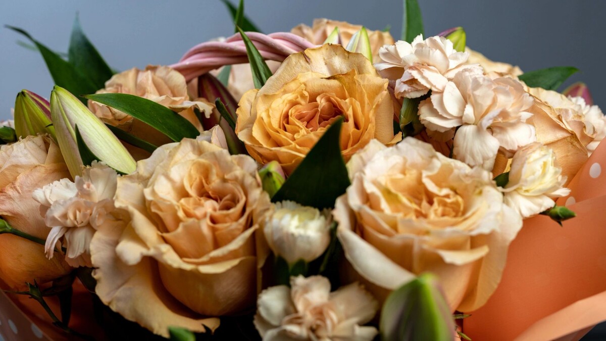    Фото: Сергей Зубков / «Ямал-Медиа»