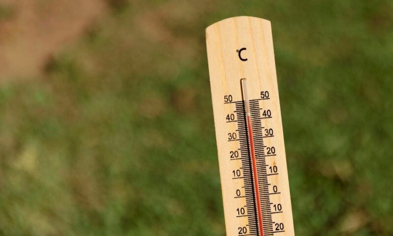    Фото freepik.com