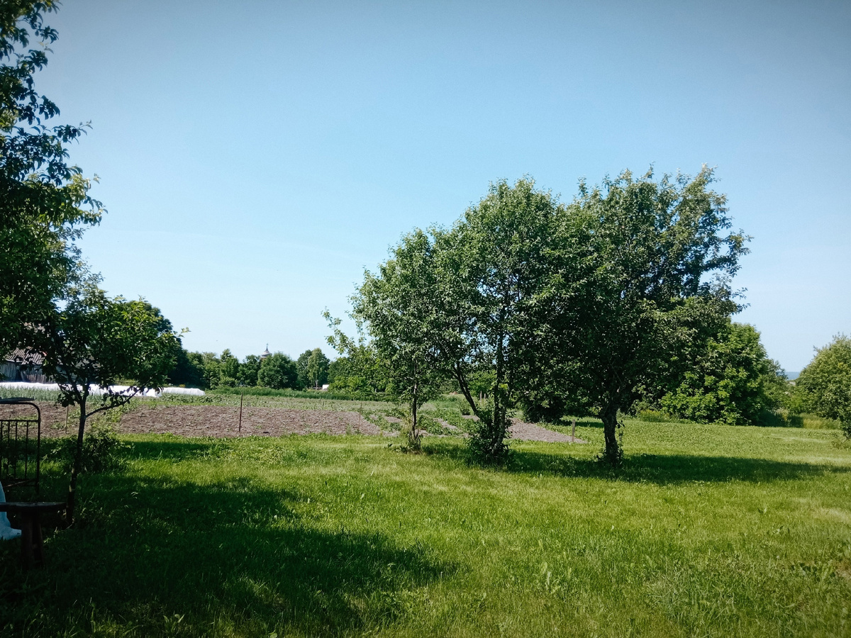 Тихонько ушла на огород