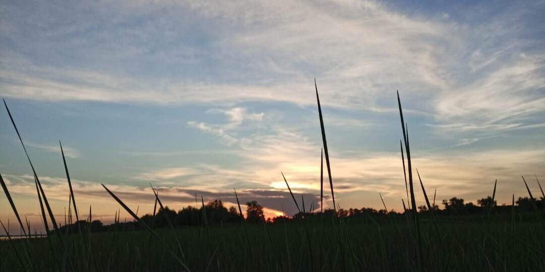 Начало русальей недели