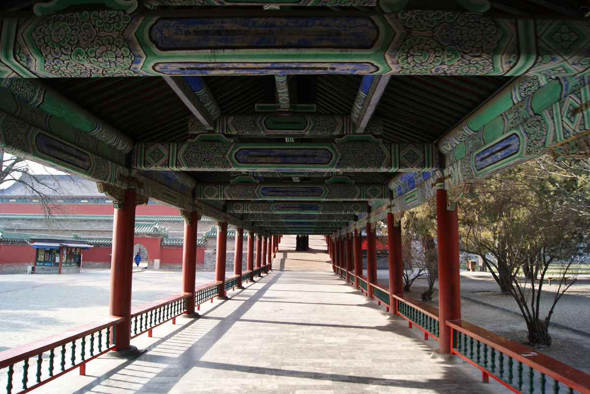 дорога во дворец