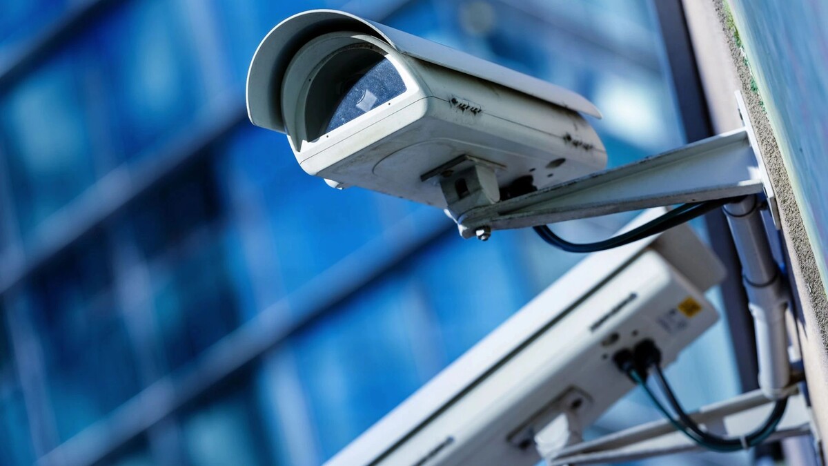    Фото: pixinoo/Shutterstock/Fotodom