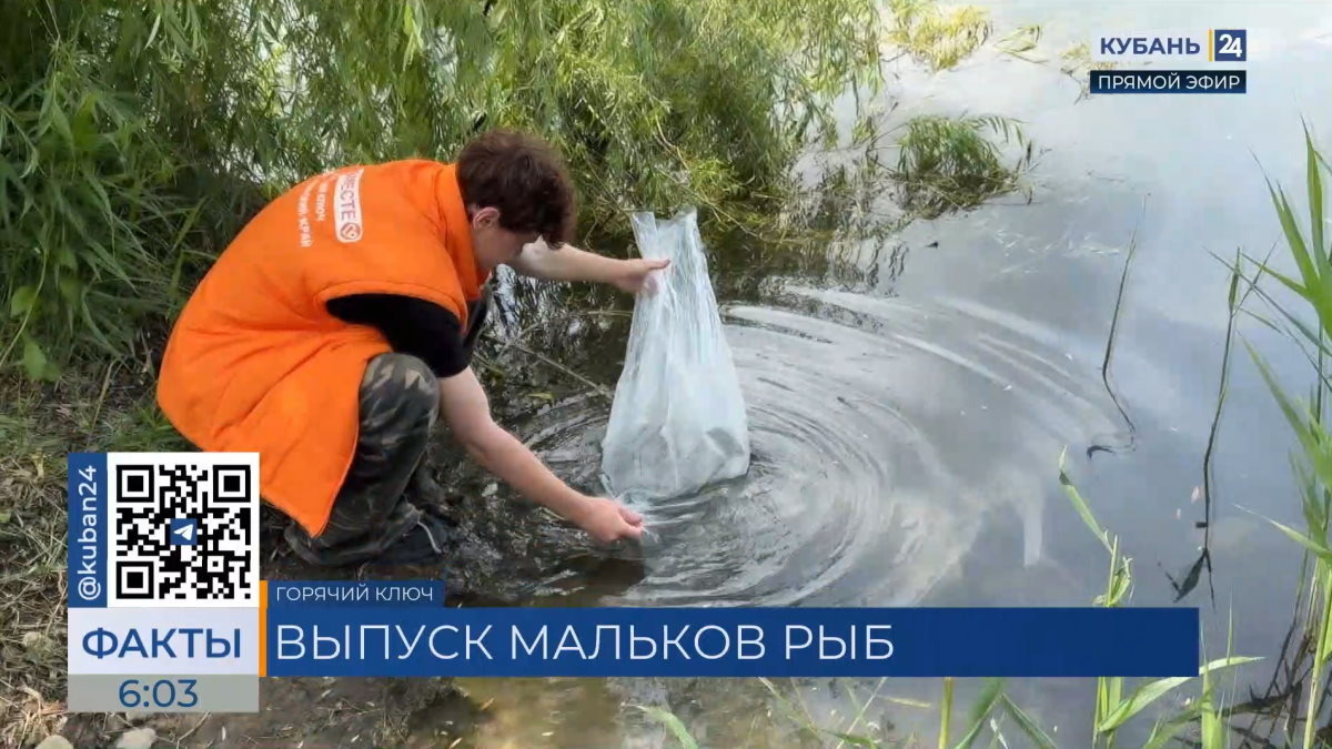    Видео канала «Кубань 24»