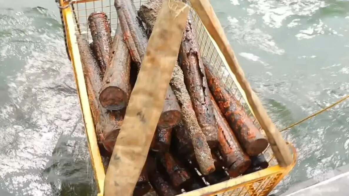    Фото: кадр видео МЧС России