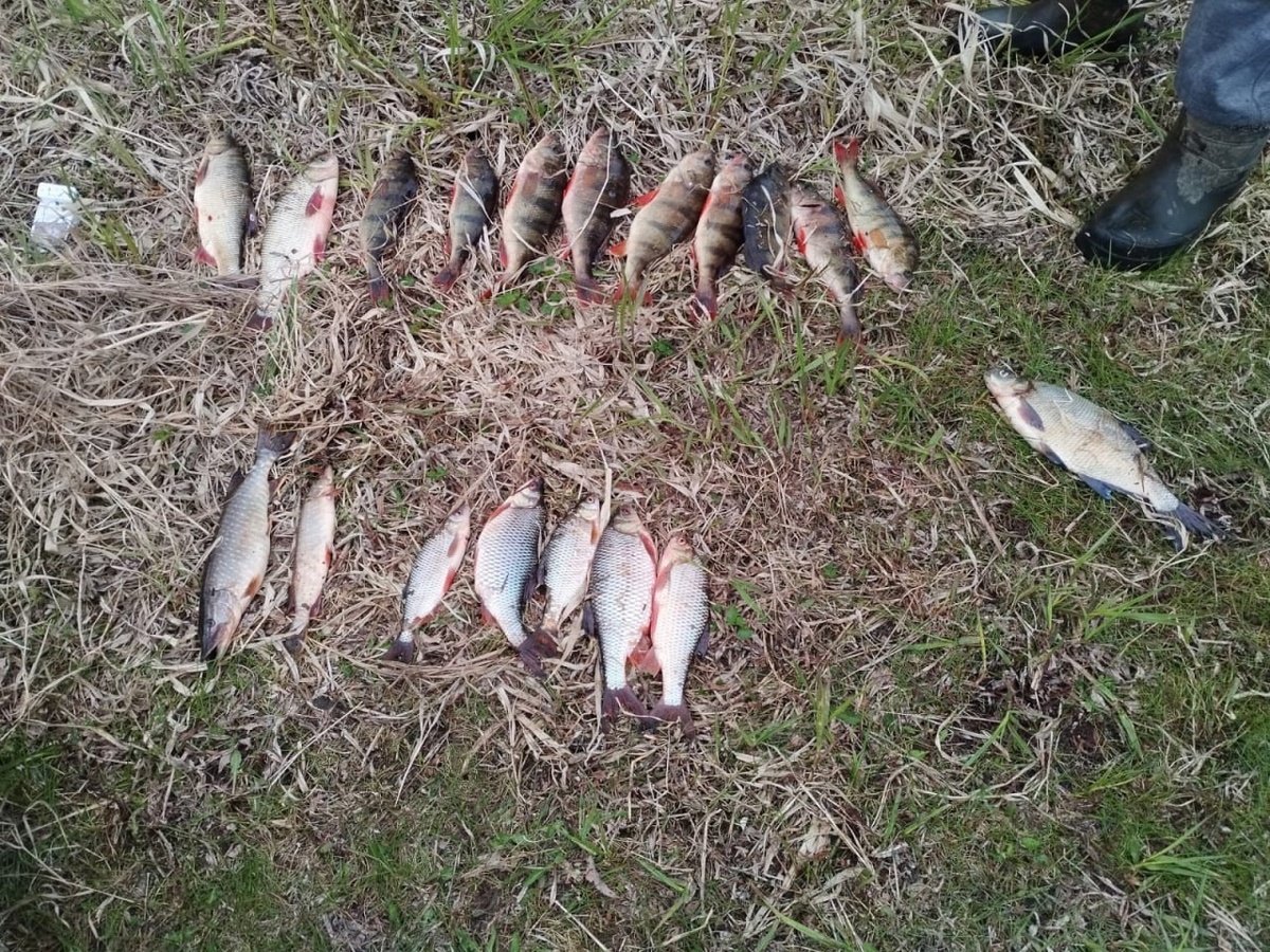    В Югре поймали очередного браконьера