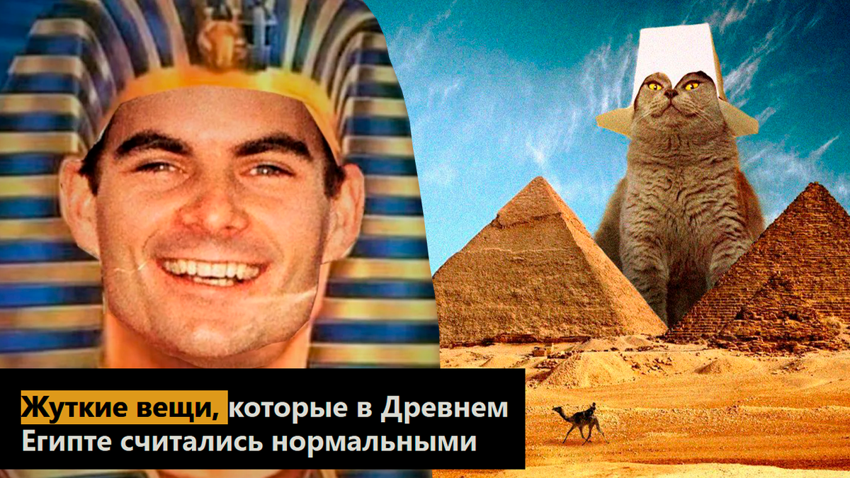 Жуткие вещи, которые в Древнем Египте считались нормальными