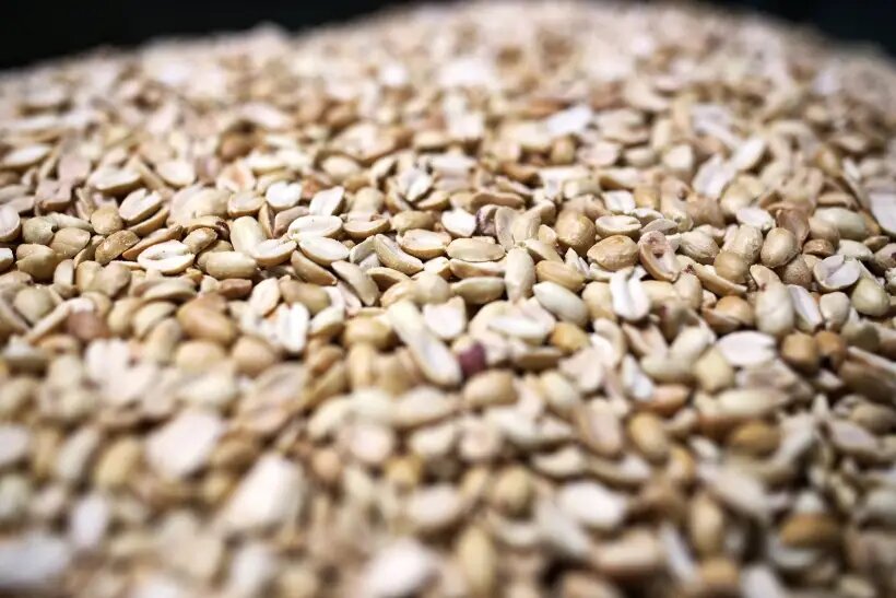     © РИА Новости. Виталий Тимкив