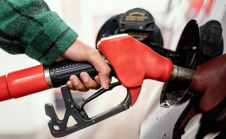 Фото:. freepik.com