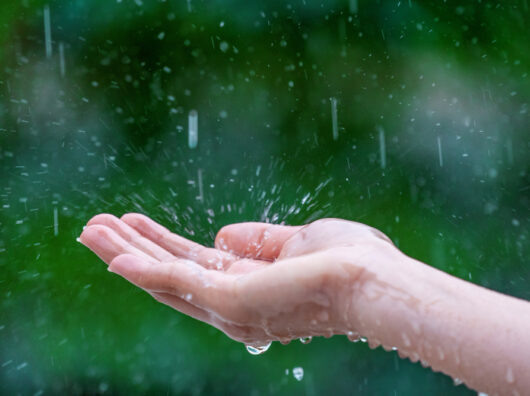    дождь // фото: Изображение от tawatchai07 на Freepik