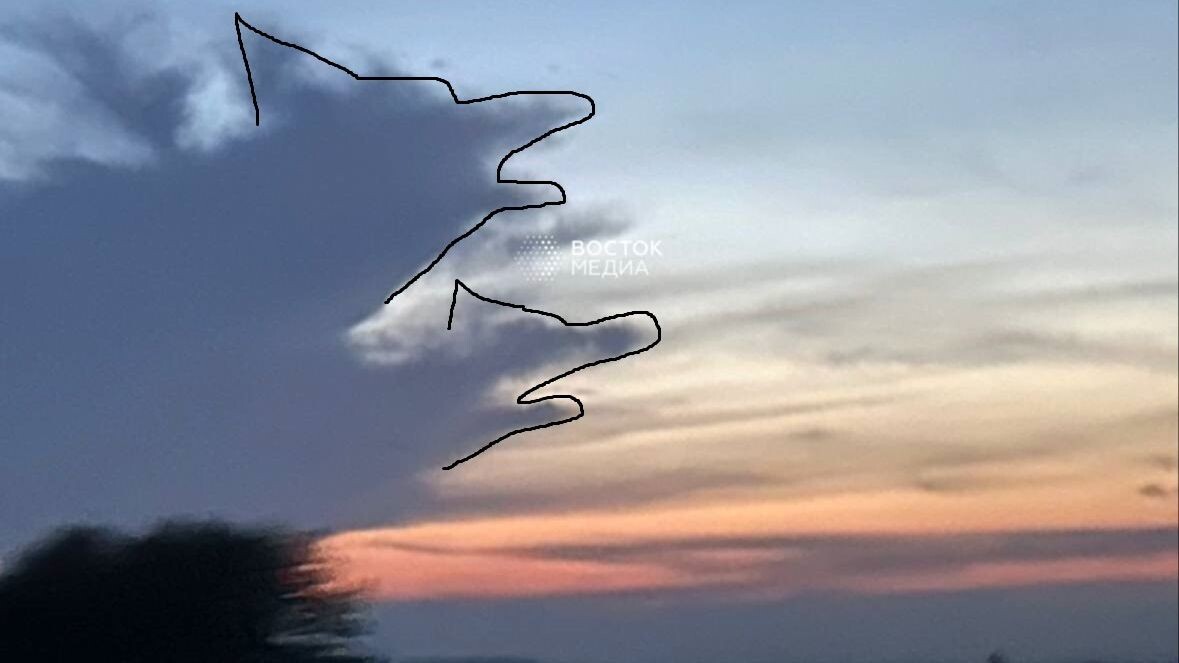     Источник: vostokmedia.com