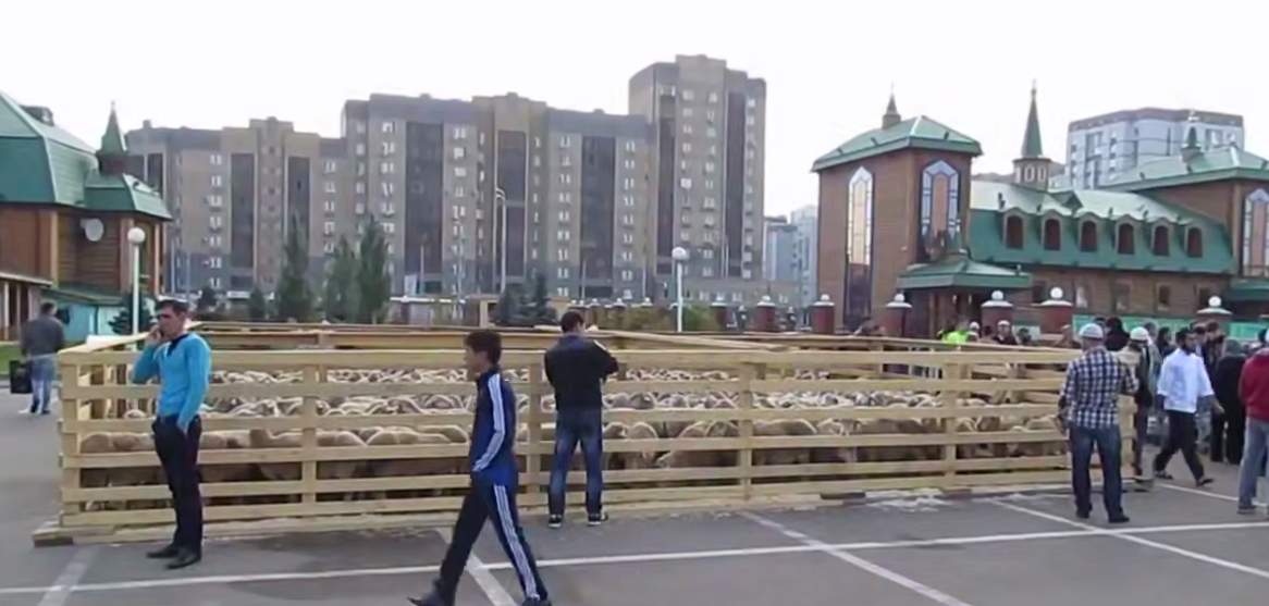 Фото: скрин видео тг-канал "Мигранты — всё как есть".