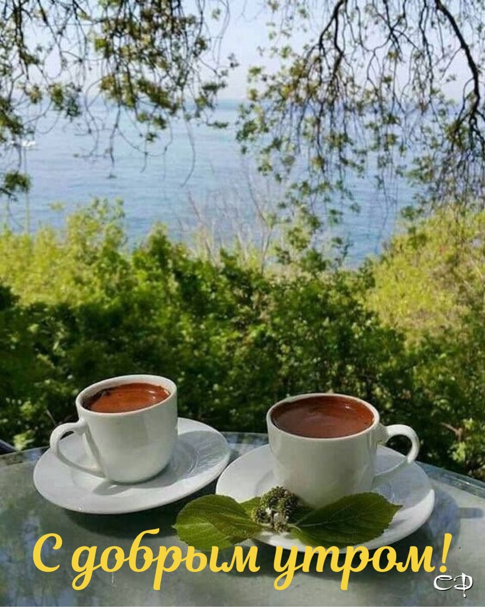 Яндекс Открытый источник 