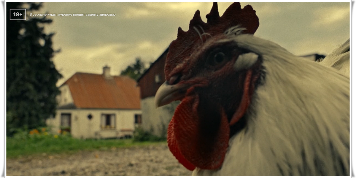 "Бигуди Кармен" - кадр из фильма