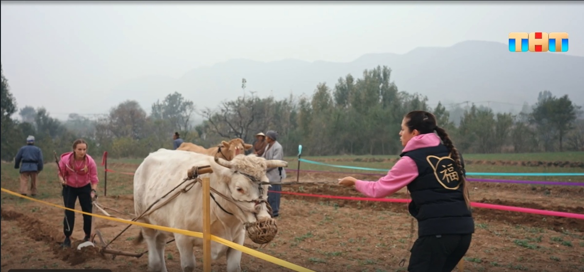 Нюша с сестрой пашут