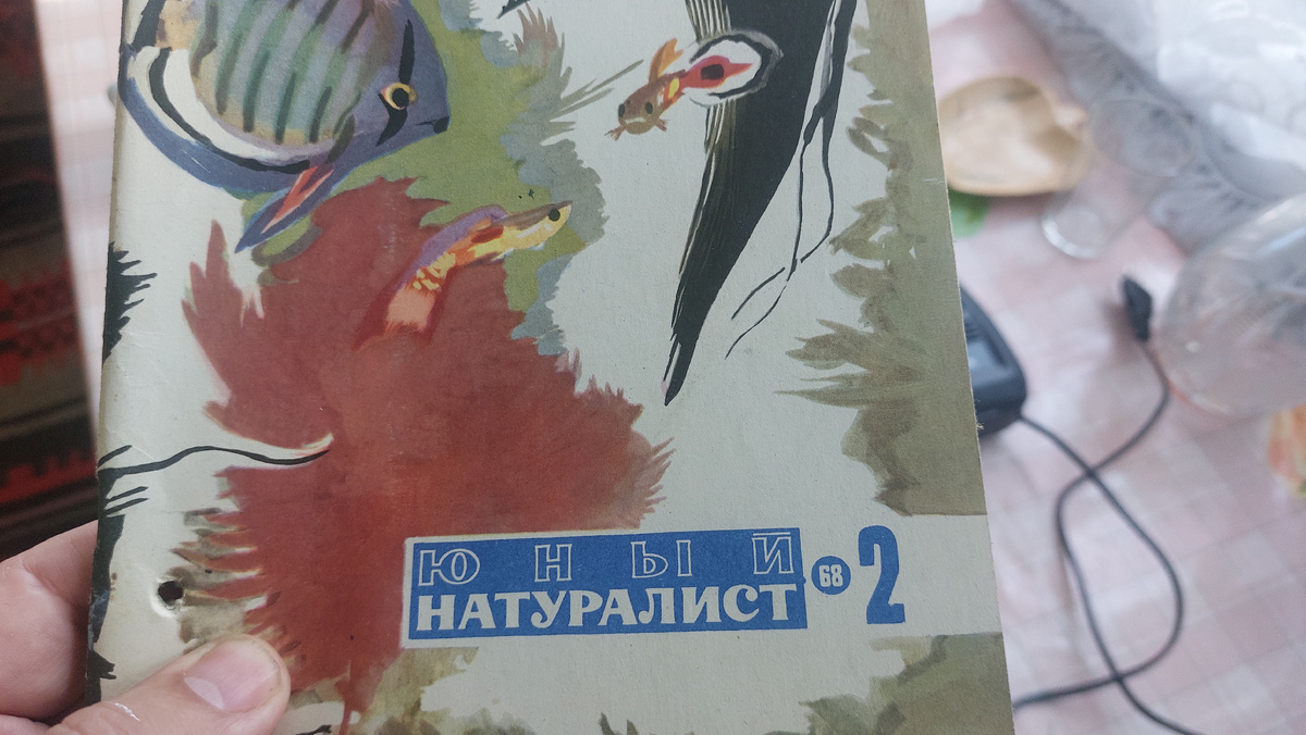 1968 год номер 2