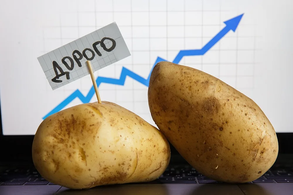 «Почему картошка в России стоит как импортный фрукт» - откровения агрария
