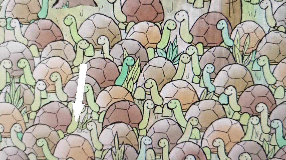    Эта картинка взорвала интернет но ошибку заметили лишь единицы