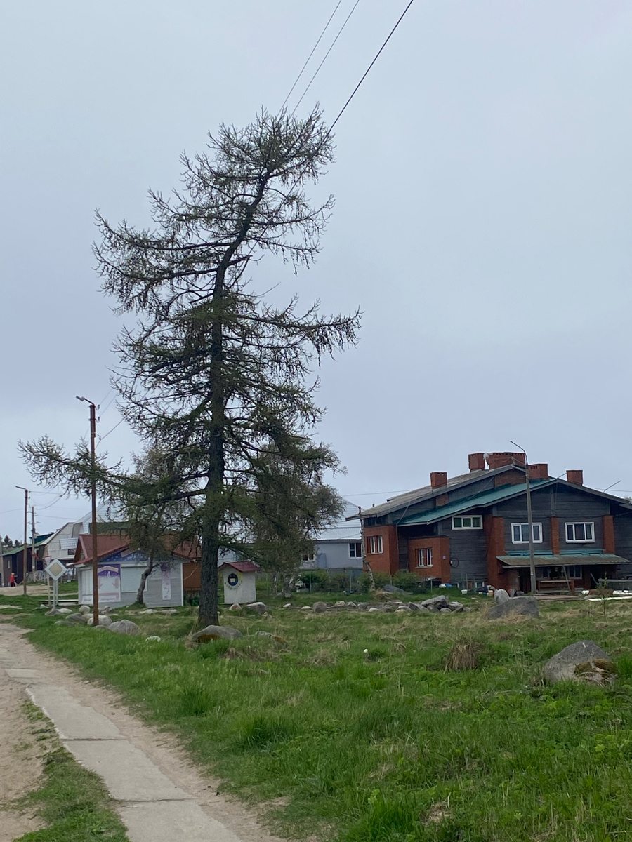 По дороге в отель. Фото автора.