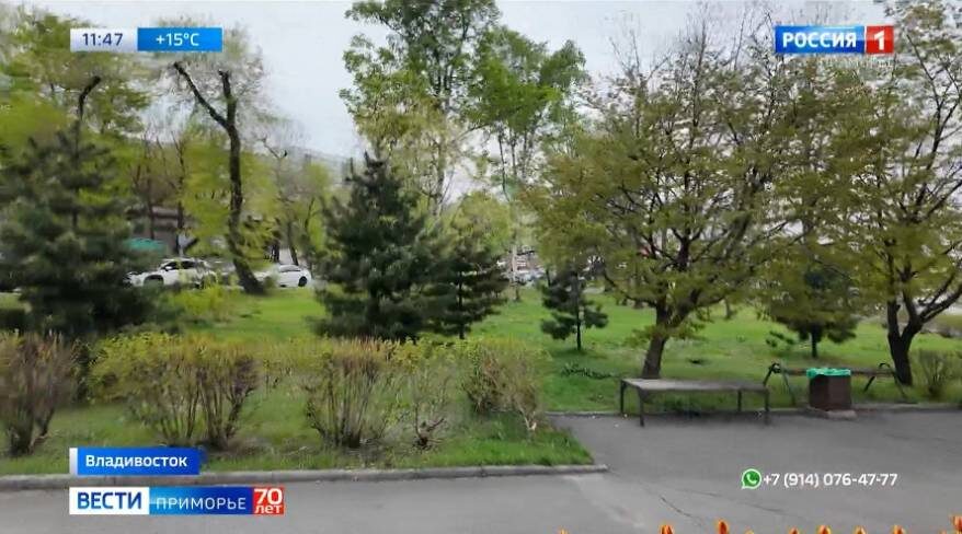    Источник фото: