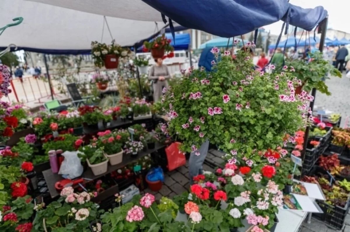    18 новых ярмарок откроется в Екатеринбурге