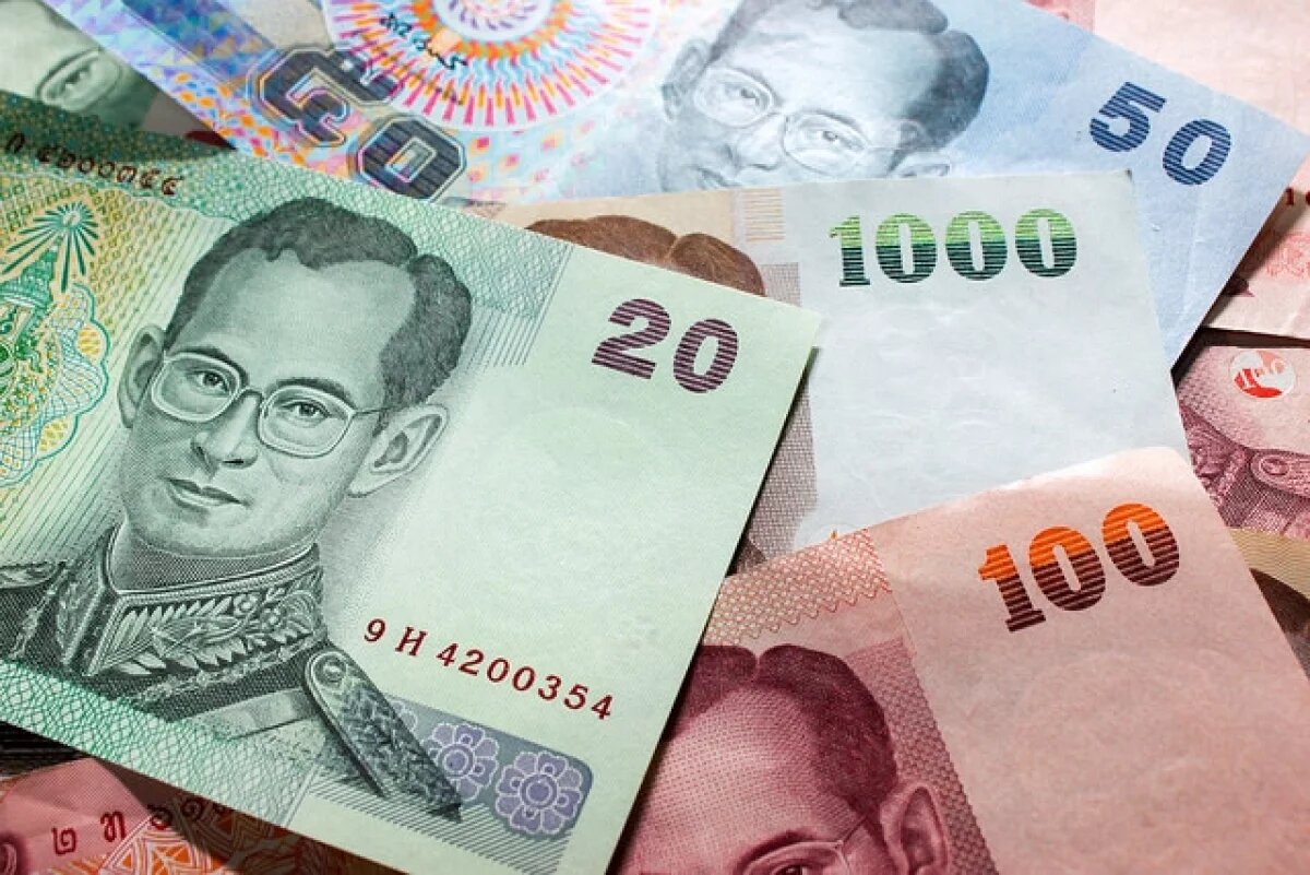    Жительница Таиланда случайно нашла миллионы на помойке